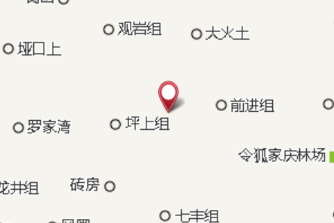 新龍井 新龍井