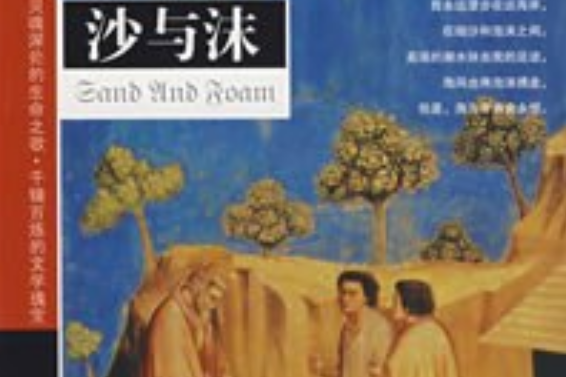 沙與沫(2008年哈爾濱出版社出版的圖書) 沙與沫(2008年哈爾濱出版社出版的圖書)