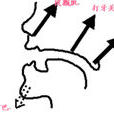 頭腔共鳴
