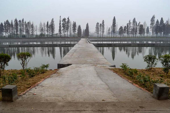 長湖鮊類國家級水產種質資源保護區