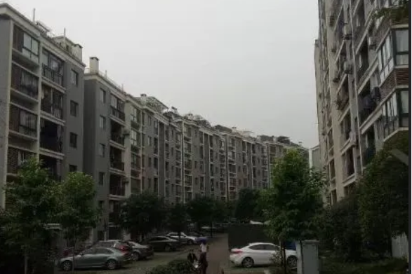 之江雅苑 之江雅苑