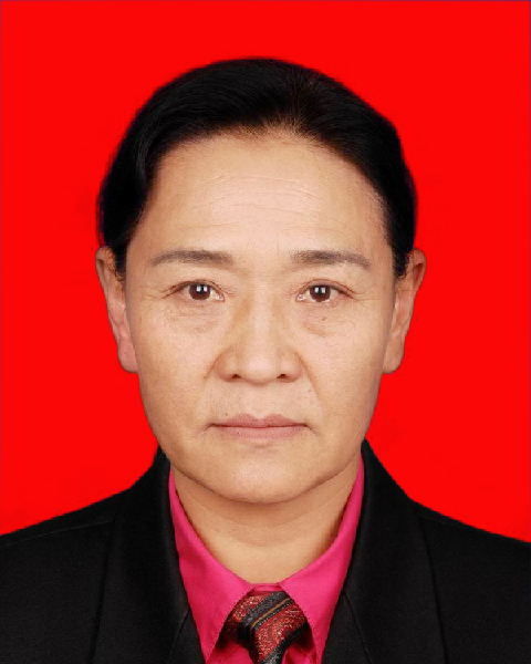 嘎瑪(西藏自治區人大常委會原副主任)
