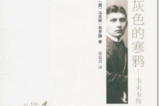 灰色的寒鴉 灰色的寒鴉