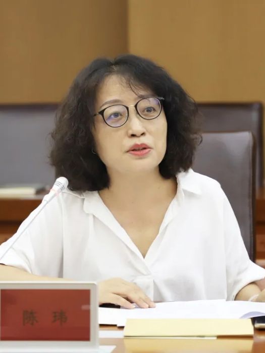 陳瑋(河南省人大代表,三門峽職業技術學院教授) 陳瑋(河南省人大代表,三門峽職業技術學院教授)