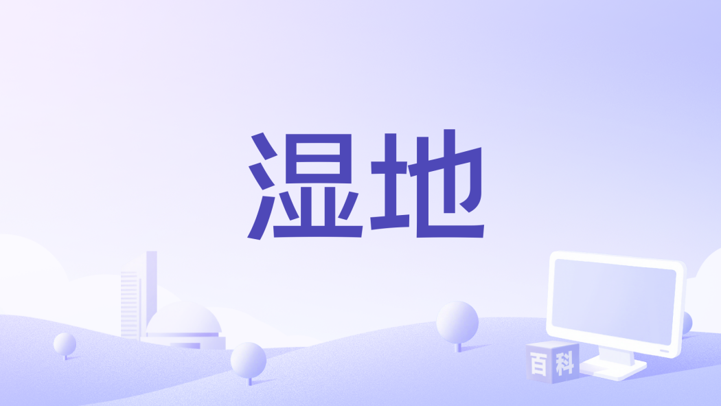 濕地(2017年Emanuele Della Valle執導的電影) 濕地(2017年Emanuele Della Valle執導的電影)