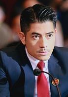 全民目擊(2013年非行導演，郭富城、孫紅雷主演電影)