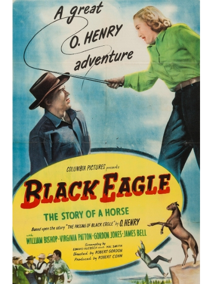 Black Eagle(美國1948年Robert Gordon執導的電影) Black Eagle(美國1948年Robert Gordon執導的電影)