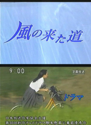 桐谷美玲