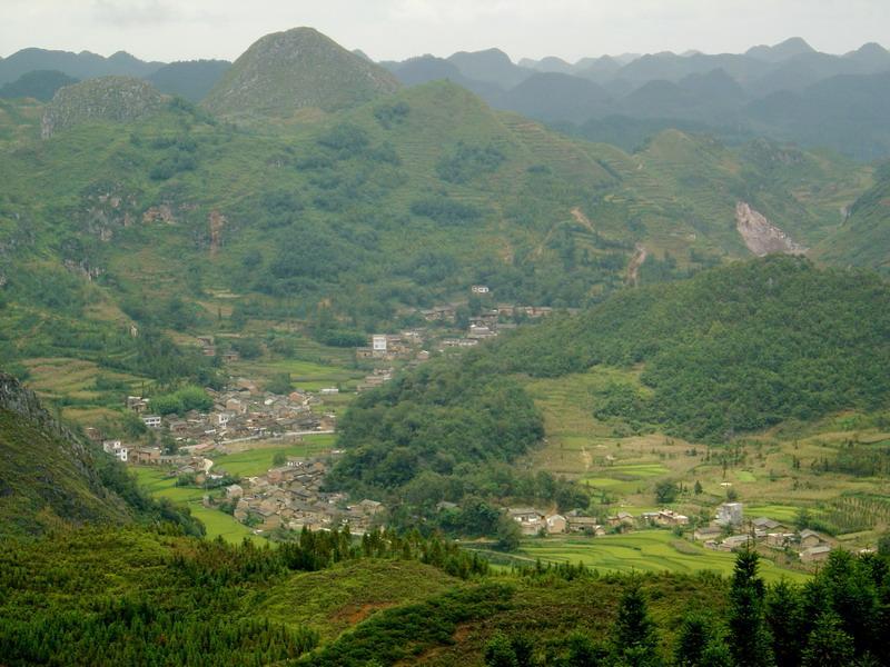 樹科村