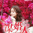 謀婚在人 謀婚在人