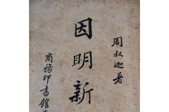 因明新例 因明新例