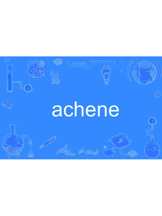 achene achene