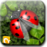 甲殼蟲跳躍Beetle Jump 甲殼蟲跳躍Beetle Jump