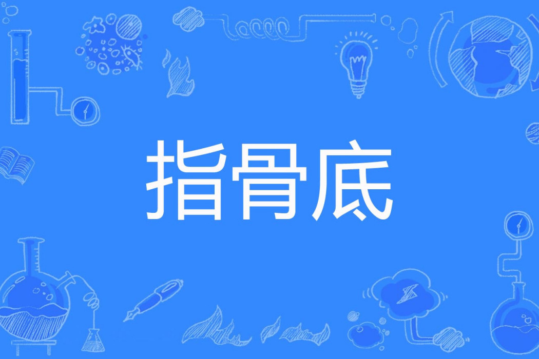 指骨底 指骨底