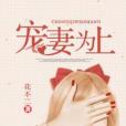 寵妻為上 寵妻為上