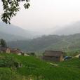 魏豐村 魏豐村