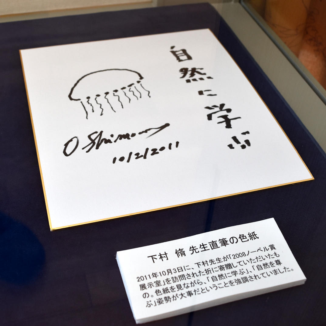 參觀名古屋大學諾貝爾獎展覽室時，下村修的簽名圖畫