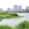 夏駕河 夏駕河