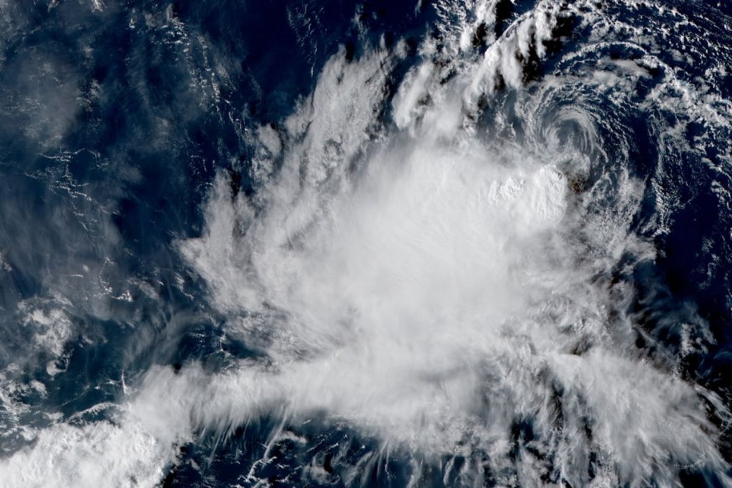 颱風榕樹(2022年第23號熱帶風暴) 颱風榕樹(2022年第23號熱帶風暴)