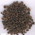 吳茱萸丸 吳茱萸丸