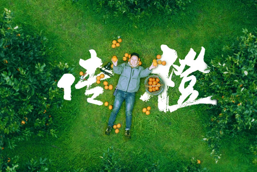 傳橙(微紀錄片《水果獵人楊曉洋》新年特輯) 傳橙(微紀錄片《水果獵人楊曉洋》新年特輯)