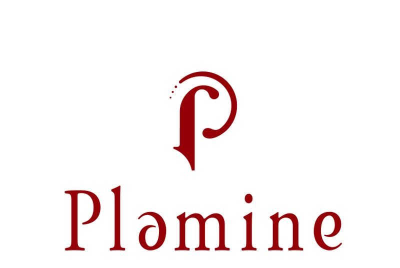 plamine plamine