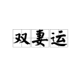 雙妻運 雙妻運