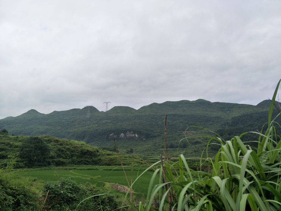 來龍坡 來龍坡