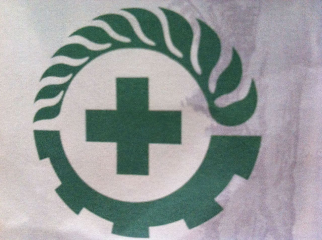 國際綠十字會