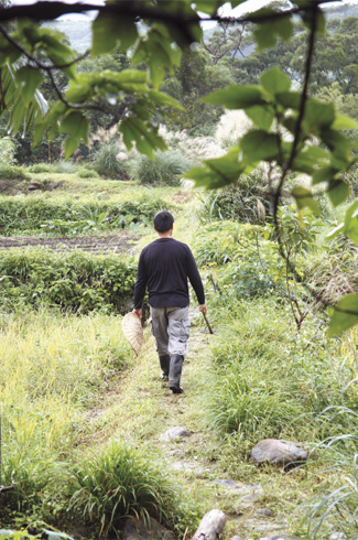 台灣“秀明自然農法”實踐者的台北農夫生活