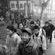 張芳玲(渭南市留守兒童之家創辦人) 張芳玲(渭南市留守兒童之家創辦人)