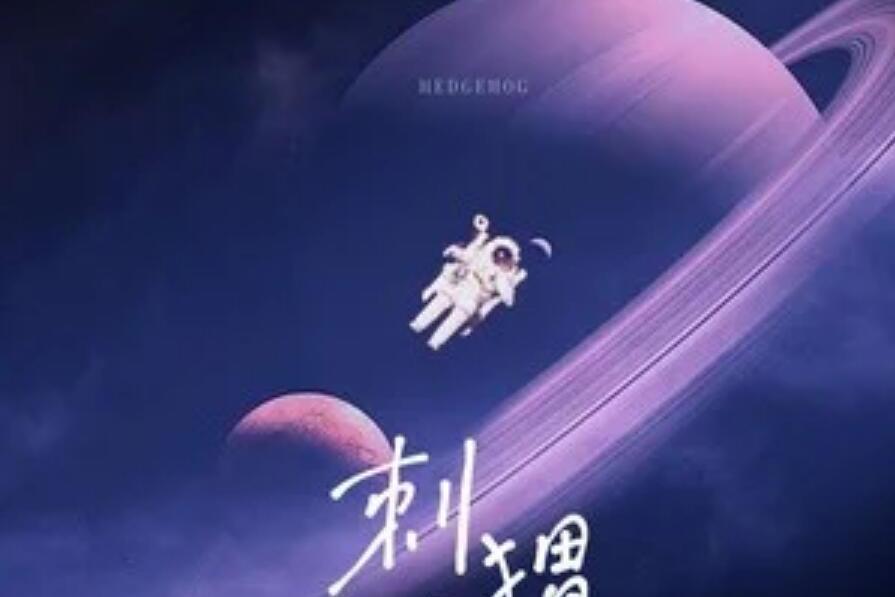 刺蝟(2021年賴湘文演唱歌曲) 刺蝟(2021年賴湘文演唱歌曲)