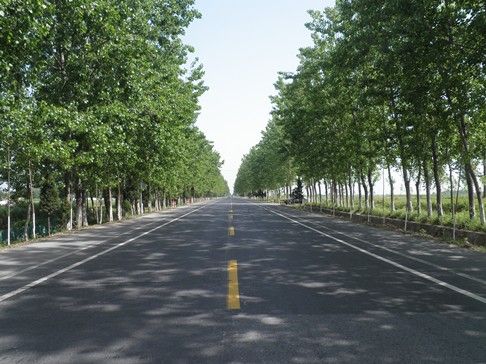 低碳公路 低碳公路