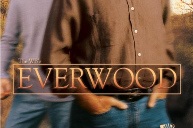 不老木(EVERWOOD)