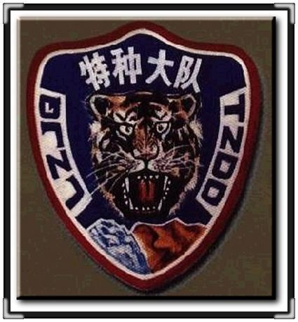 夜老虎 夜老虎