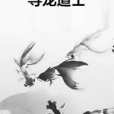 尋龍道士 尋龍道士