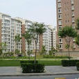 夏家胡同(北京市豐臺區胡同) 夏家胡同(北京市豐臺區胡同)