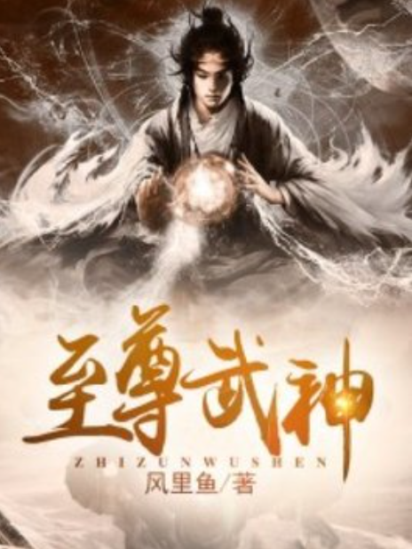 至尊武神(風裡魚所著小說) 至尊武神(風裡魚所著小說)
