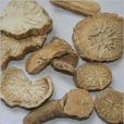 漢中防己 漢中防己