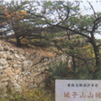城子山風景區 城子山風景區