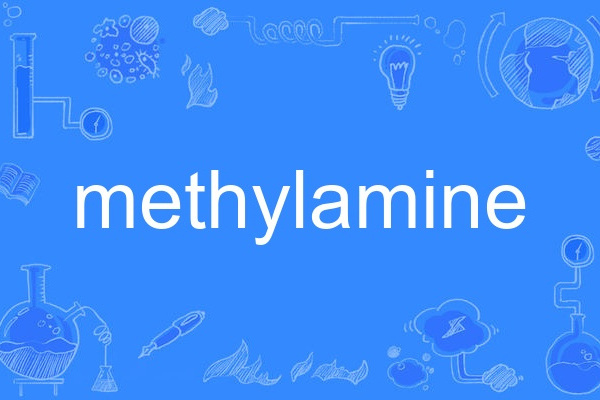 methylamine methylamine