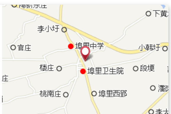 埠里國小 埠里國小
