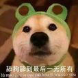 舔狗 舔狗