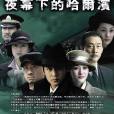 夜幕下的哈爾濱(2008年陸毅、李小冉主演電視劇)