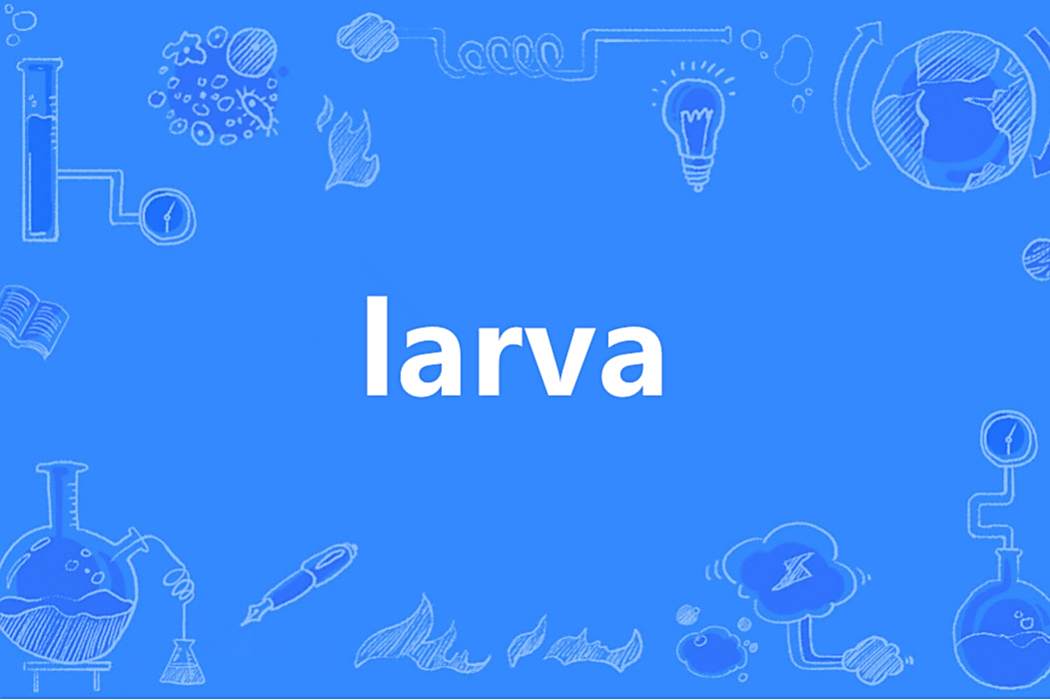 Larva(英語單詞) Larva(英語單詞)