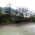 大茅坪村 大茅坪村