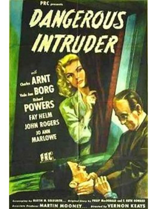 Dangerous Intruder Dangerous Intruder