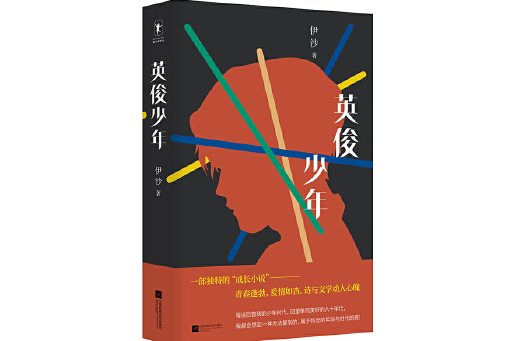 英俊少年(2023年江蘇鳳凰文藝出版社出版的圖書) 英俊少年(2023年江蘇鳳凰文藝出版社出版的圖書)