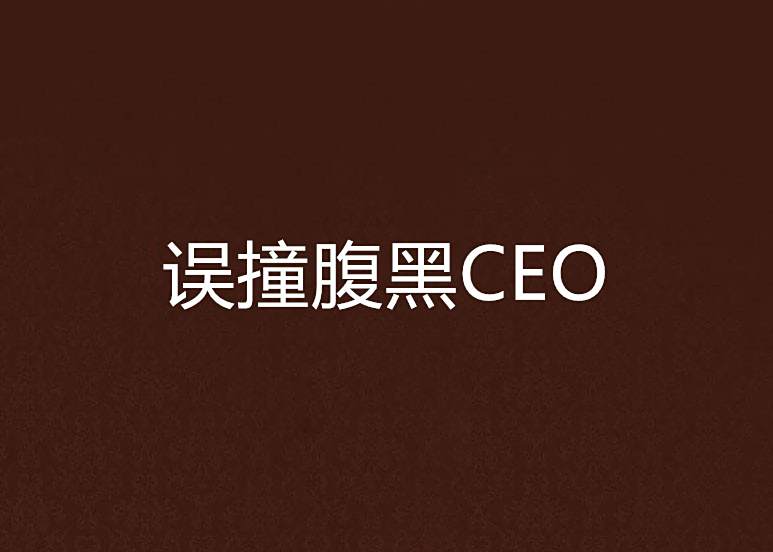 誤撞腹黑CEO 誤撞腹黑CEO