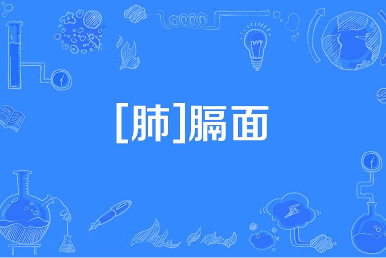 [肺]膈面